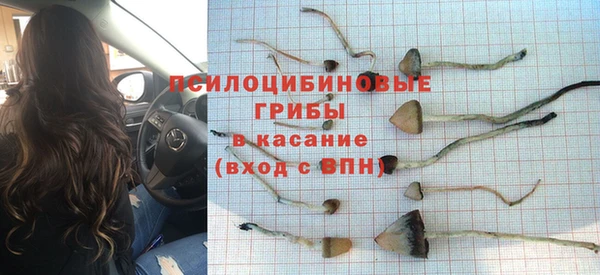 МДПВ Алексеевка