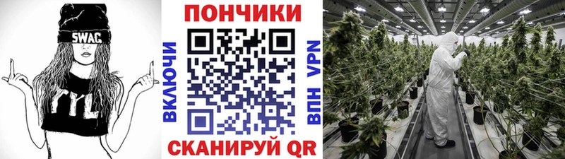 Шишки марихуана конопля  Анжеро-Судженск 
